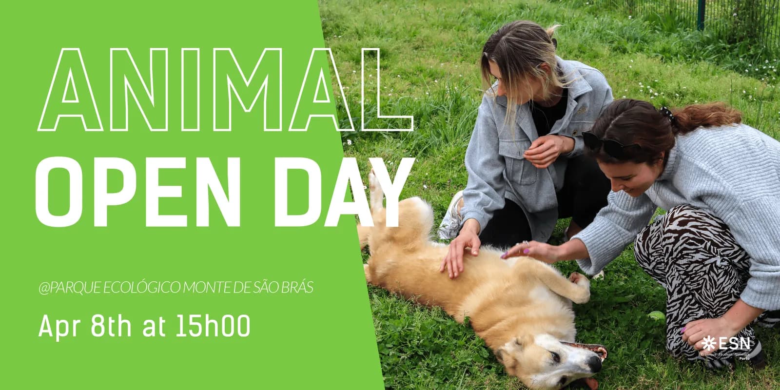 Animal Open Day