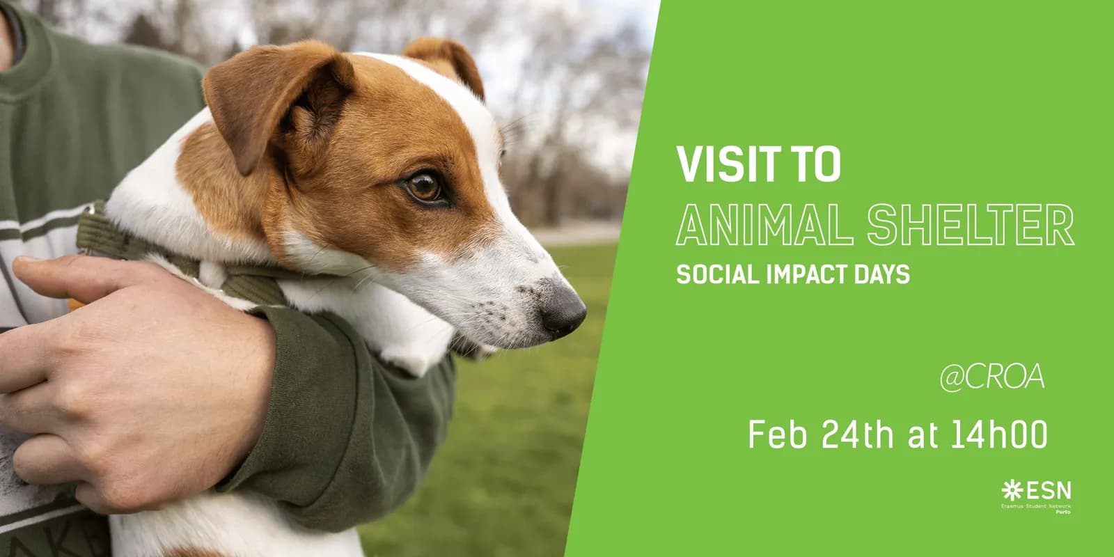 Animal Shelter Visit