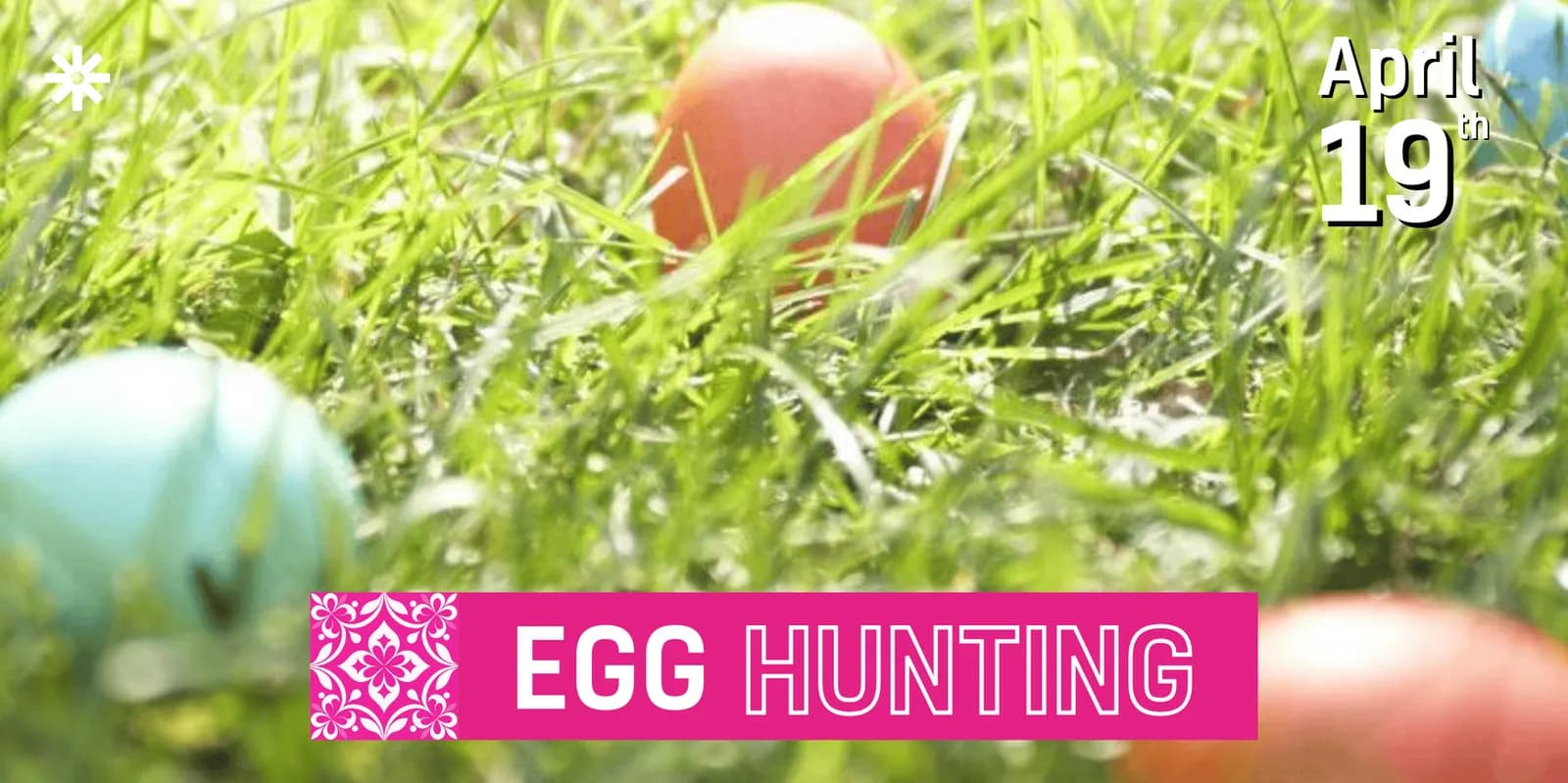 Egg Hunting