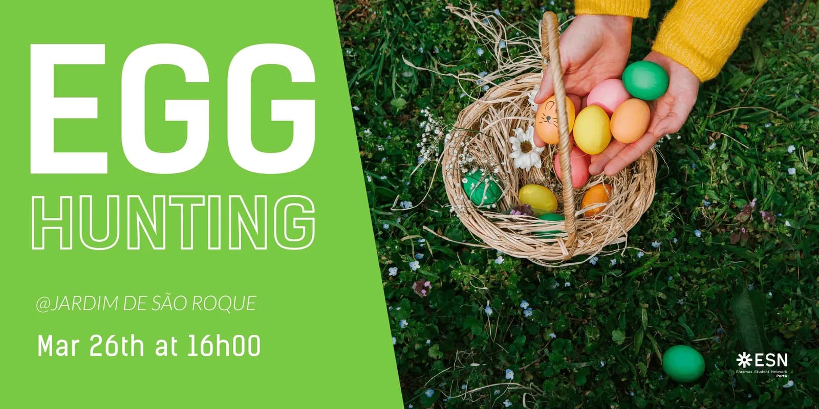 Egg Hunting