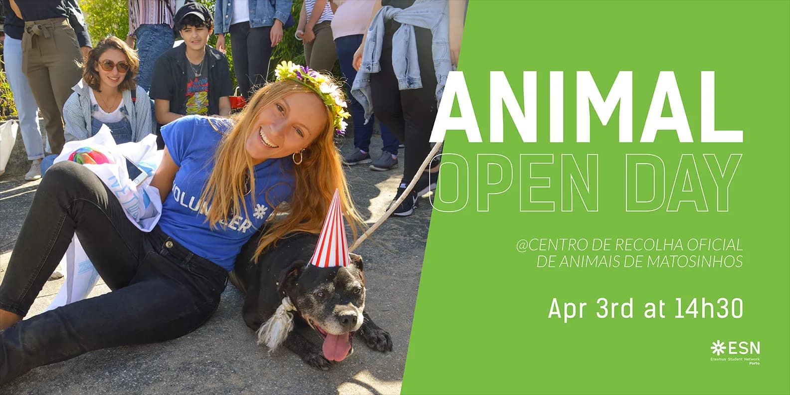 Animal Open Day