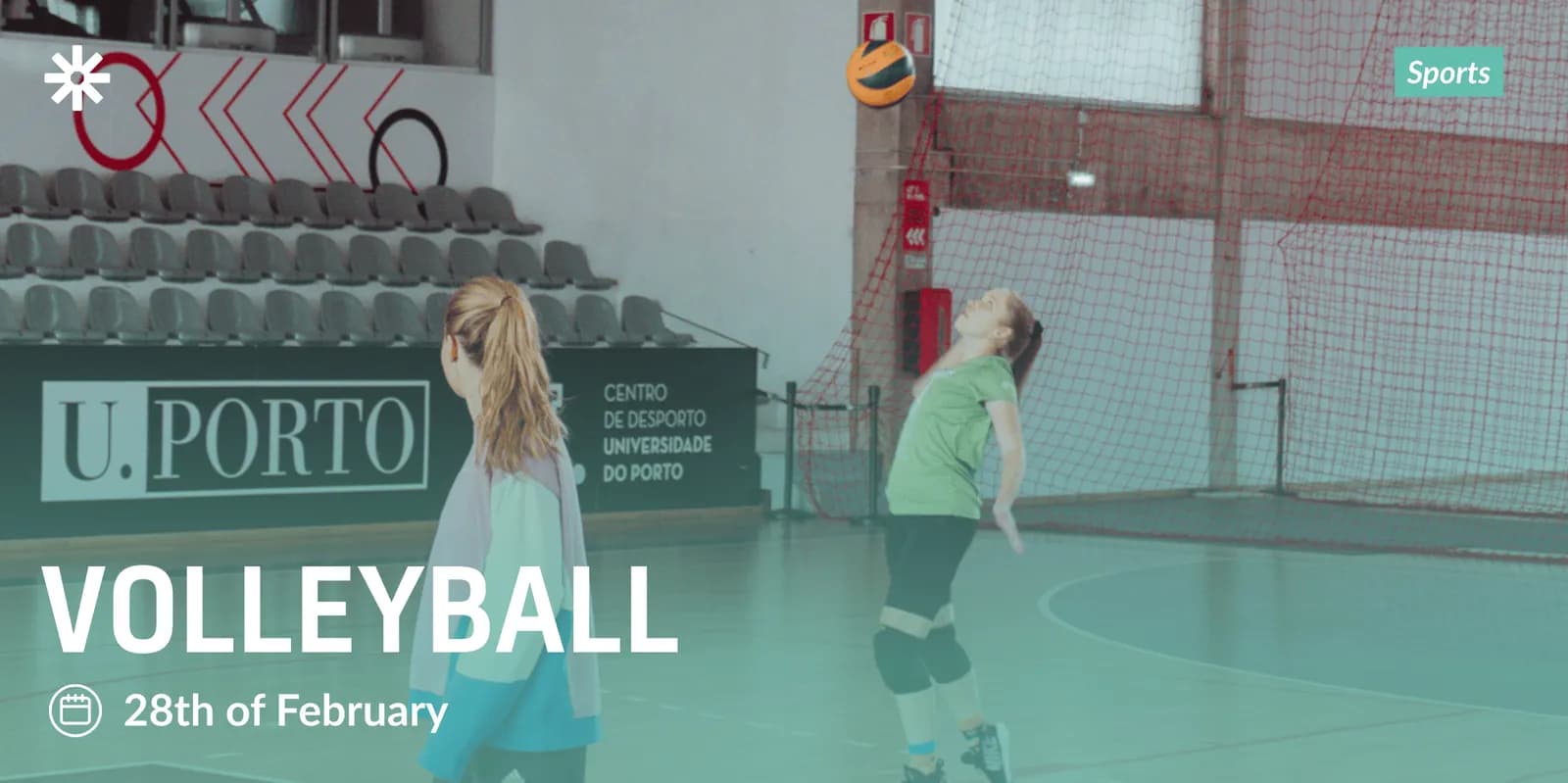 Sports Day - Volleyball